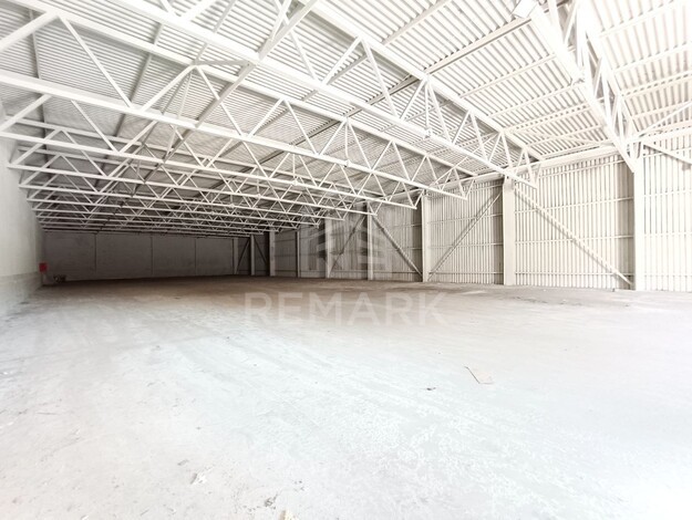 photo257523