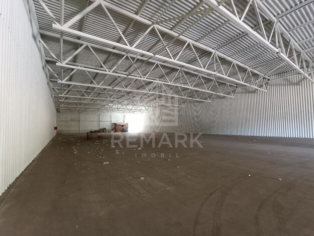 photo257519