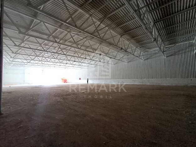 photo257526