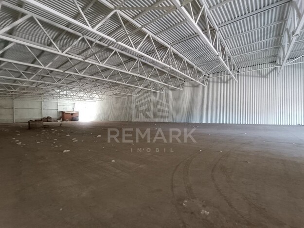 photo257532