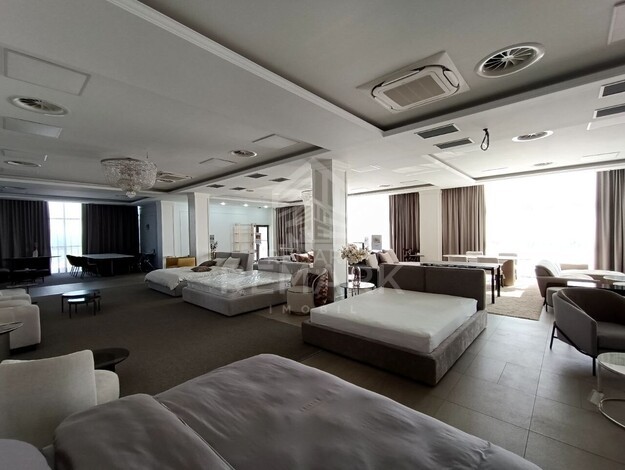 photo257566
