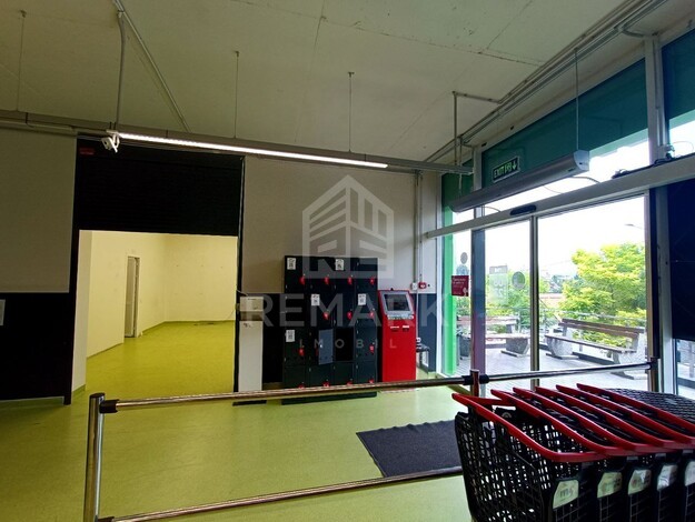 photo258321