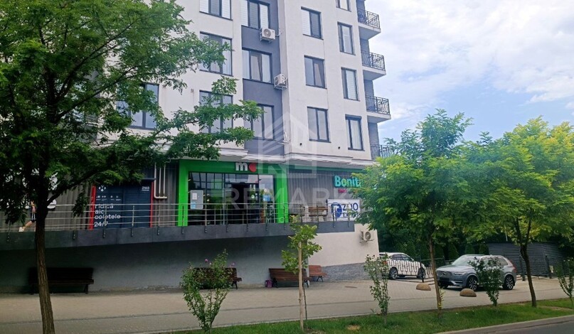 photo258320