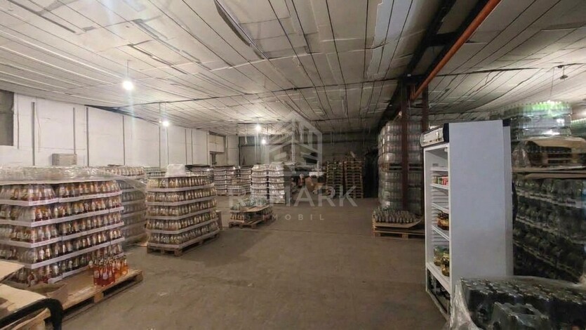 photo258771