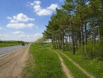 photo_low255313