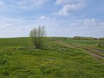 photo_low255314