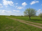 photo_low255315