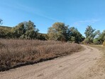 photo_low259012