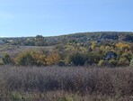 photo_low259014