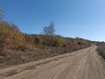 photo_low259018
