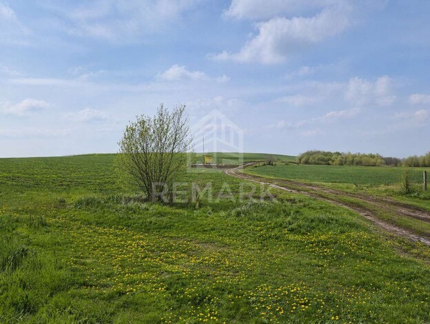 photo255314