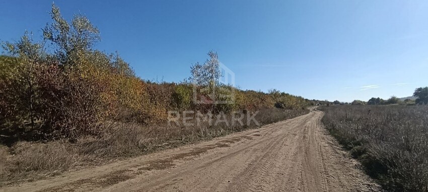 photo259018